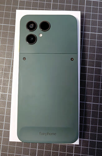 back