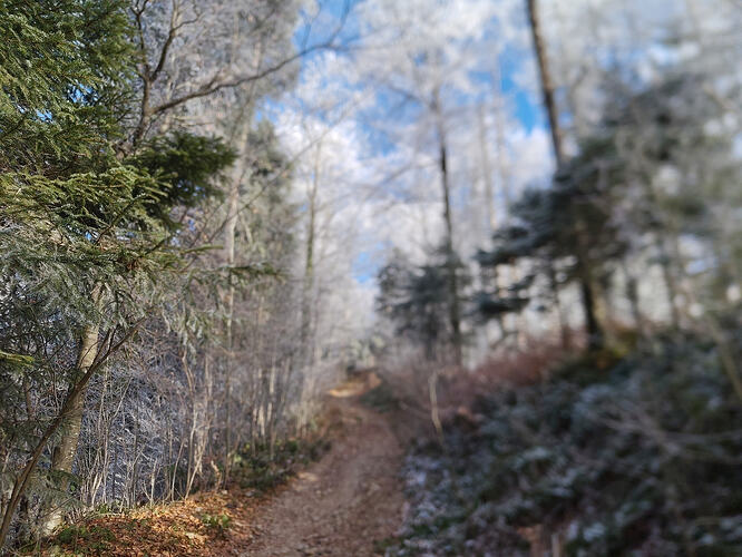 IMG_20251229_115425656