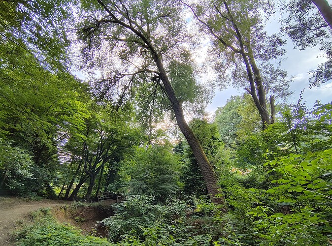 IMG_20250713_194414474_HDR