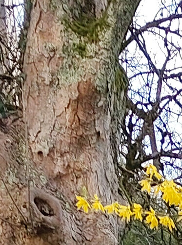 IMG_20260329_182716664_crop_12MP