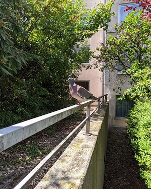 PXL_20250723_141550912