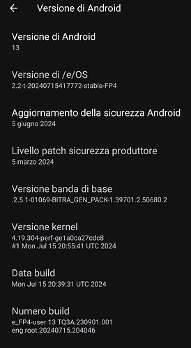 Screenshot_20240815-132426_Impostazioni_1