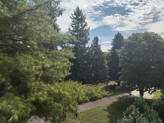 IMG_20250722_113030489_HDR