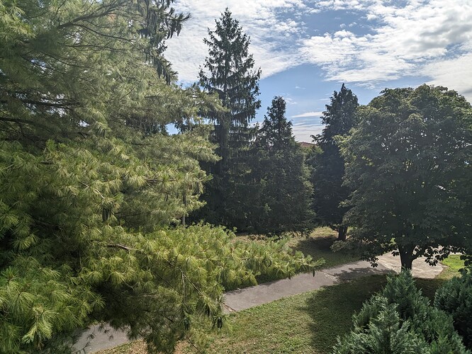PXL_20250722_113024031