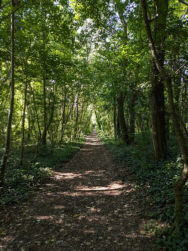 PXL_20250809_155155116