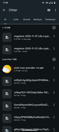 Screenshot_20251127-173619