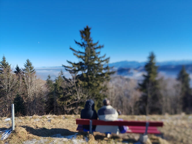 IMG_20251229_133311437