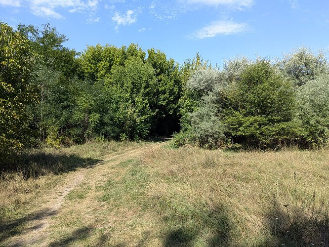 PXL_20250809_153043107