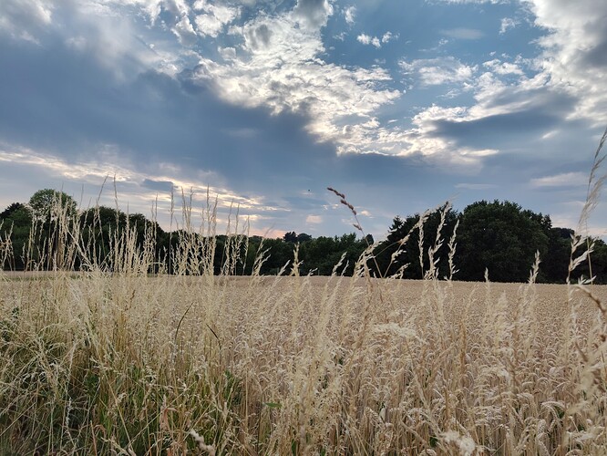 IMG_20250713_195931375_HDR
