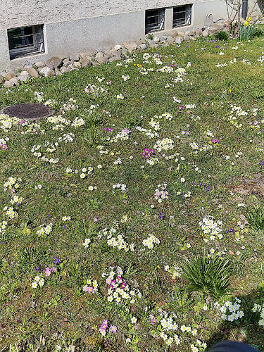 IMG_20251125_111506671_HDR