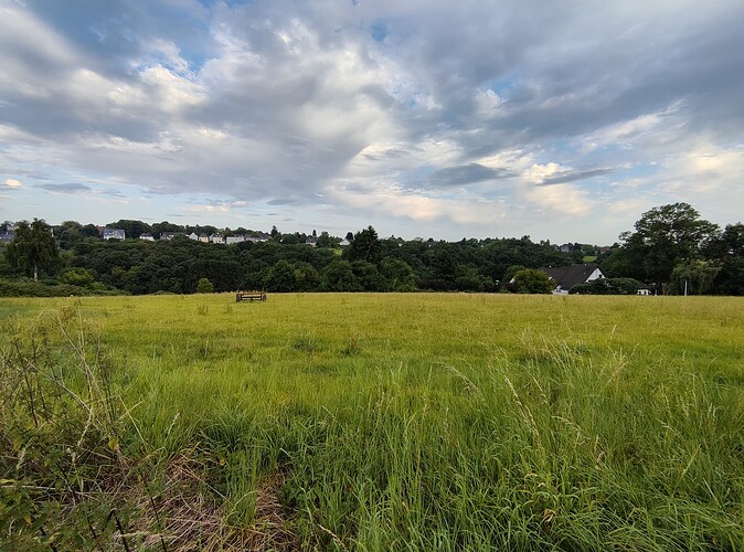 IMG_20250713_200824015_HDR