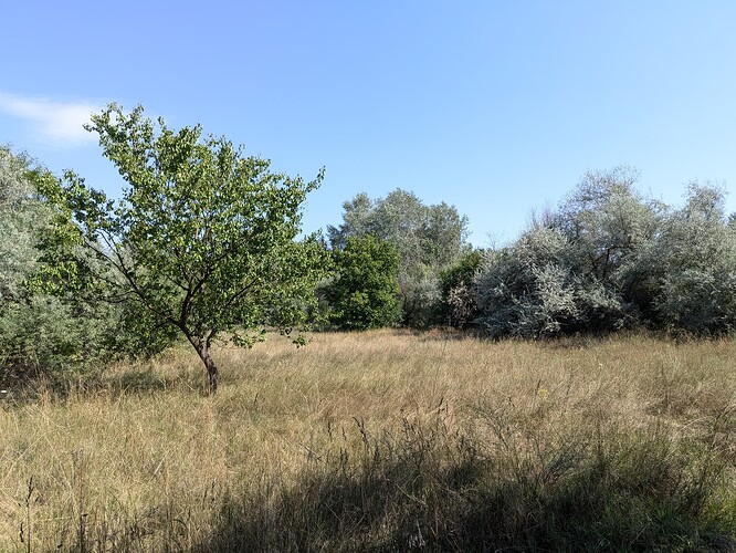 PXL_20250809_153033400