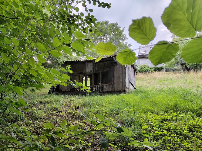 IMG_20250713_194648113_HDR